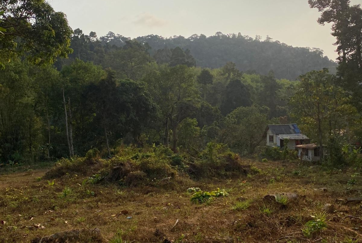 Prime land for sale in Kai Bae, Koh Chang – 2,016 sqm with stunning mountain views, ideal for a resort, bungalows, or private villas, walking distance to the beach and market.
