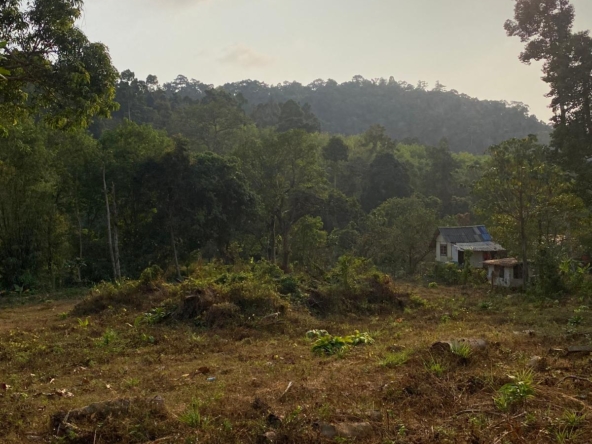Prime land for sale in Kai Bae, Koh Chang – 2,016 sqm with stunning mountain views, ideal for a resort, bungalows, or private villas, walking distance to the beach and market.