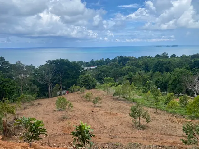 Panoramic sea view land for sale on Koh Chang with mountain elevation, surrounded by lush nature and ideal for luxury villa or resort development.