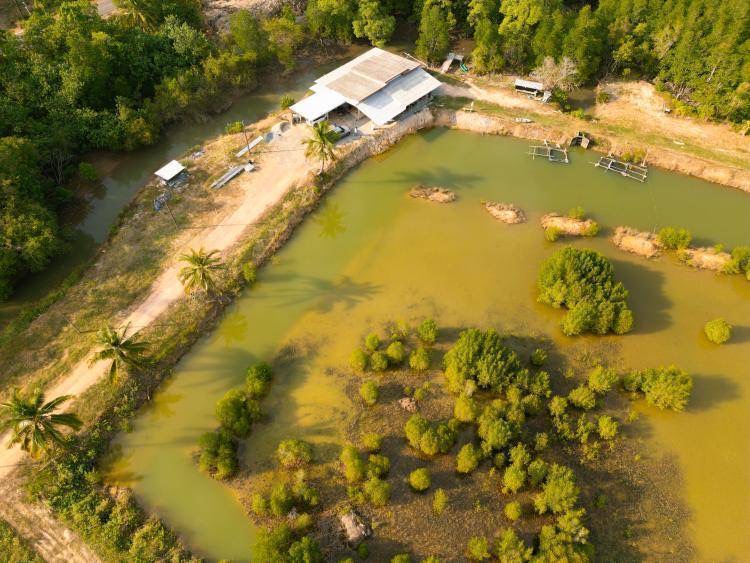 9-Rai Land for Sale in Koh Chang by Koh Chang Properties – Full Chanote title, canal access, mountain views, ideal for resort or hotel development.