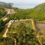9-Rai Land for Sale in Koh Chang by Koh Chang Properties – Full Chanote title, canal access, mountain views, ideal for resort or hotel development.