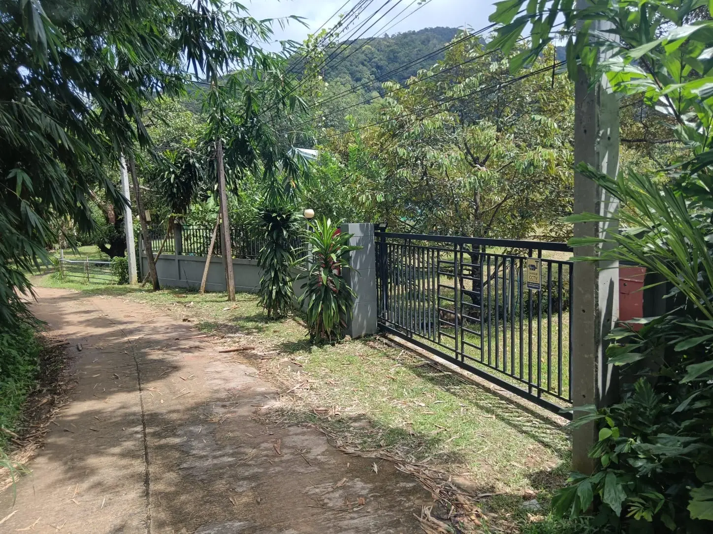 Beautiful land for sale in Klong Son, Koh Chang by Koh Chang Properties – 1 Rai 38 Sqw. with Chanote title, private gate, fruit trees, water and electricity ready. Ideal for building your dream home or running a small tropical fruit business.